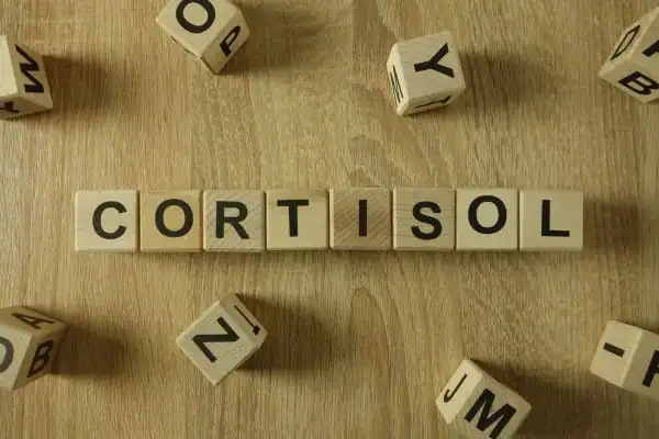 The Hidden Connection: How Stress Shapes Your Fitness and Body Composition 2 Image saying "Cortisol" and how stress Maidenhead impacts your wellbeing and bodies shape